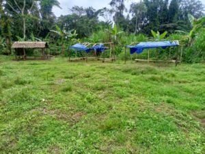 Plantain Market of Mbwogmut I, Tombel Sub Division