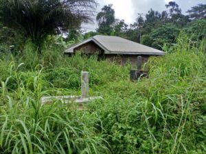 Muetan Mbu Village, Tombel Sub Division