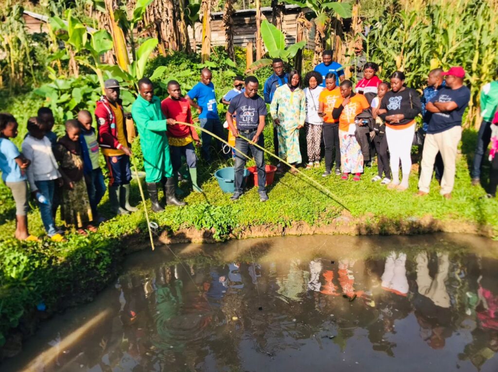 Best Practices of Harvesting Fish at Seme Fish Pond