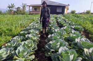 Gardener Gabkwi in his Vegetable Farm