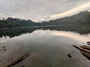 Partial view of Lake Bermin