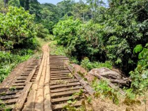 Bangem-Bermin-Nguti Road, from earth road to footpath