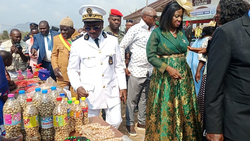 Youth Day Celebration: Kupe Muanenguba SDO Lauds Innovative Display by Youths